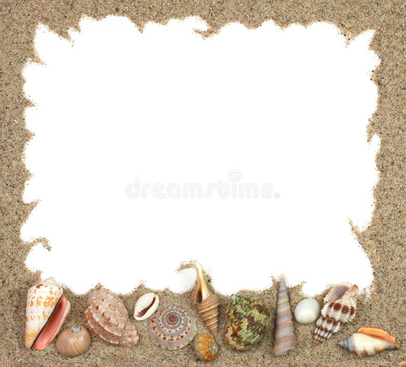 Conch shells frame