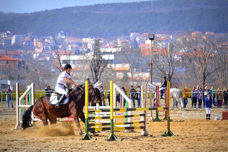 Concorrenza di salto di equitazione rifiutata cavallo fotografia stock Concorrenza di salto di equitazione rifiutata cavallo fotografia stock