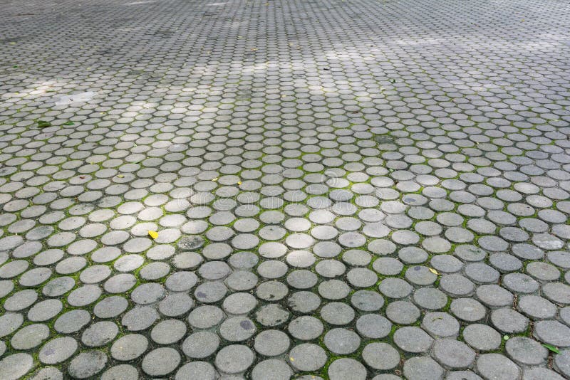 Concrete, Cement Block Floor of Pathway at Park Stock Image - Image of