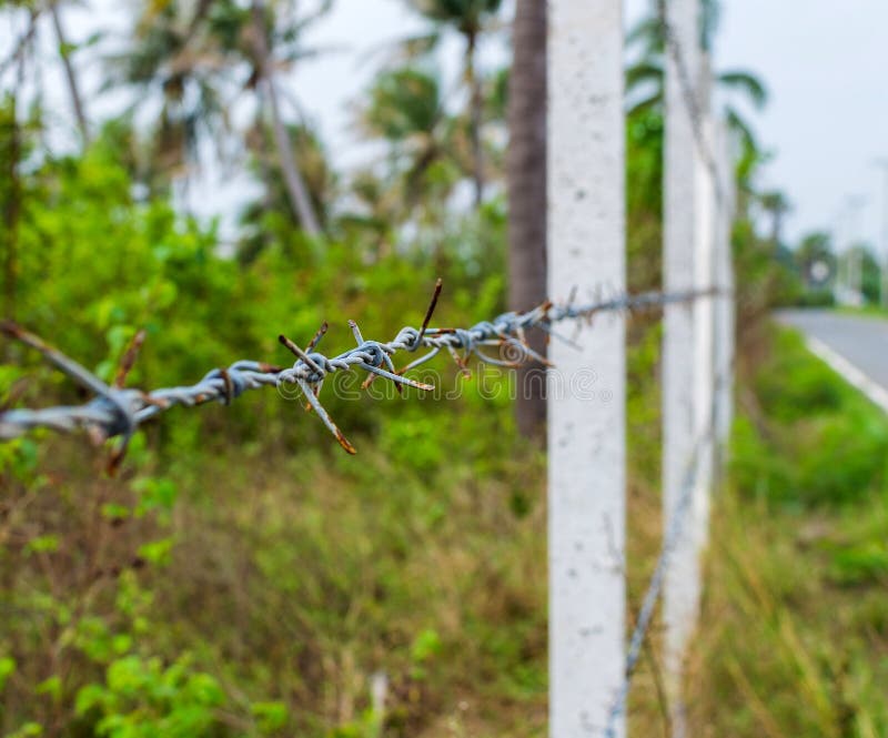 1 335 concrete fence barbed wire photos free royalty free stock photos from dreamstime 1 335 concrete fence barbed wire photos