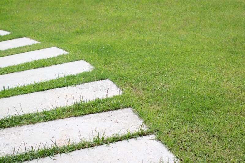 Grass ON Concrete Floor Slabs Stock Photo Image of neat, care 24381286