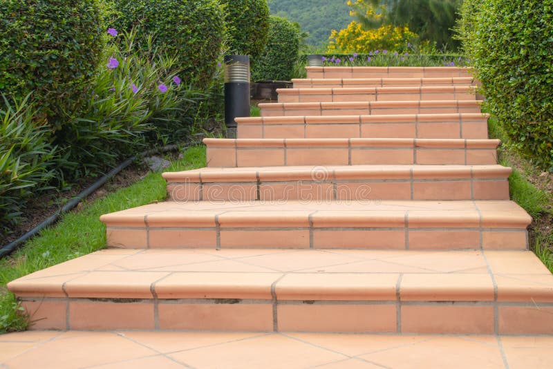 Concrete stairs or pathway flanked with green trees in garden. stock photography Concrete stairs or pathway flanked with green trees in garden. stock photography