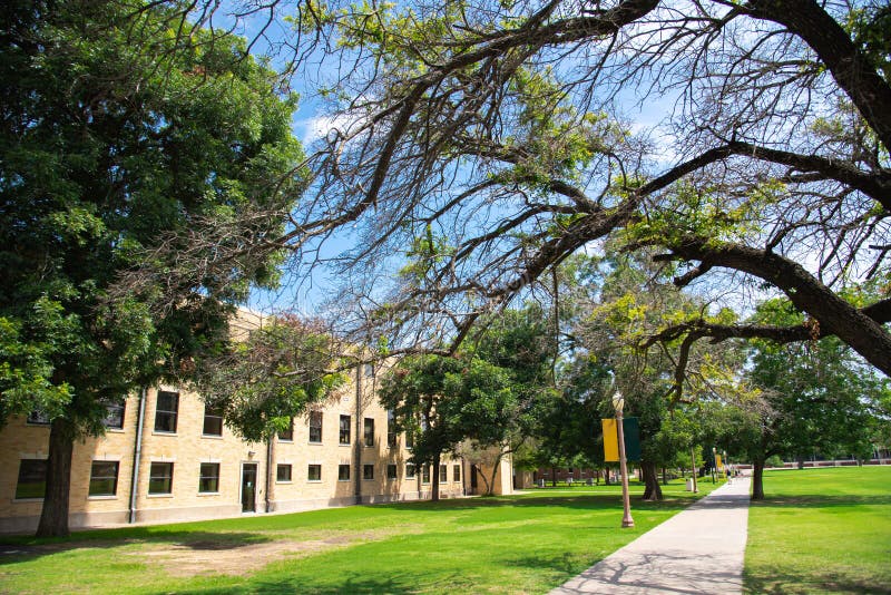 Concrete walkway canopy tree, light pole banners and student walking along, historic buildings large college campus in Texas, grassy lawn quad courtyard, ample green space, education, landscaping. USA