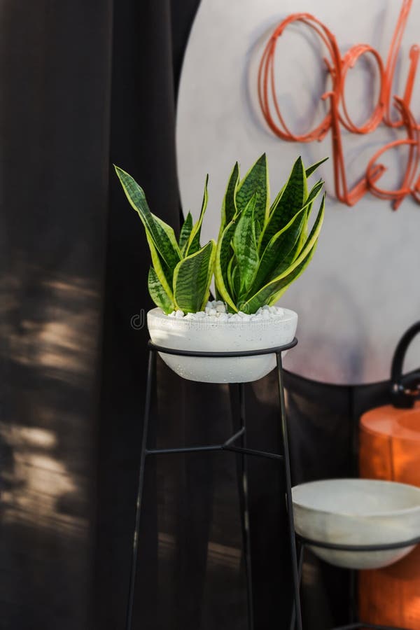 Concrete White Flower Pot On A High Black Metal Stand, Cement Flower