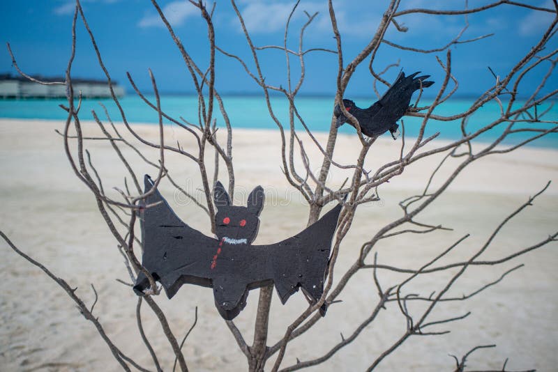 Bruxa Assustadora Sentada Perto Do Caixão Com Cadáver Durante a Festa De  Halloween No Cemitério Artificial Na Praia Foto de Stock Editorial - Imagem  de corvo, cara: 170544693