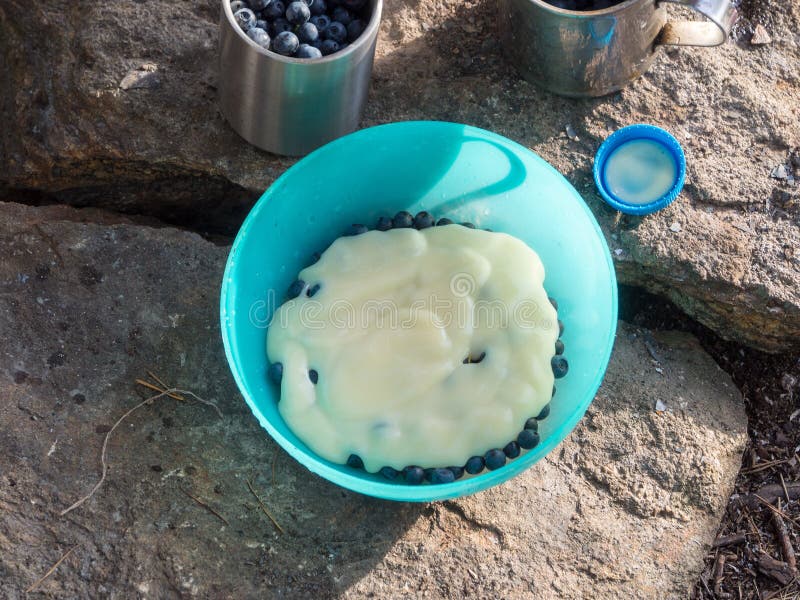 Condensed Milk And Blueberries Stock Image Image of bilberry, natural