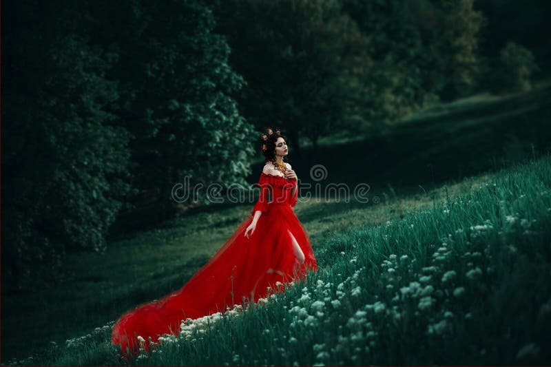 Condesa En Un Vestido Rojo Largo Imagen de archivo - Imagen de alineada,  fluir: 74306993