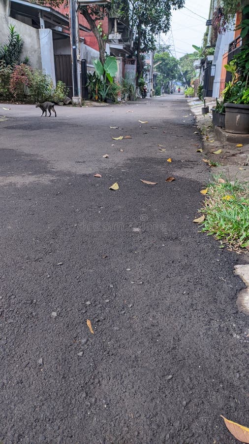 The Condition of the Streets is Half Wet after it Rains Stock Photo