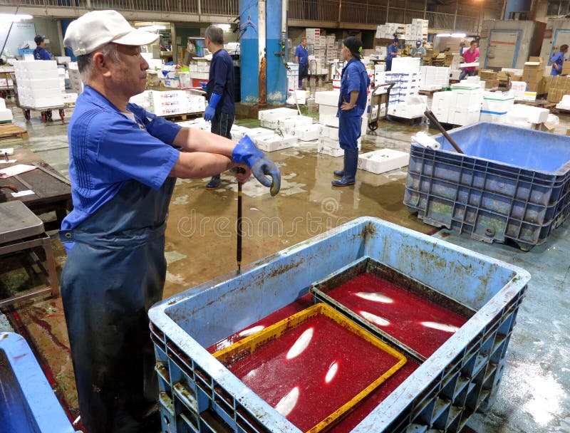 Condizione locale del lavoratore del mercato ittico vicino ad un contenitore in pieno del pesce fresco e di altri frutti di mare fotografia stock libera da diritti Condizione locale del lavoratore del mercato ittico vicino ad un contenitore in pieno del pesce fresco e di altri frutti di mare fotografia stock libera da diritti