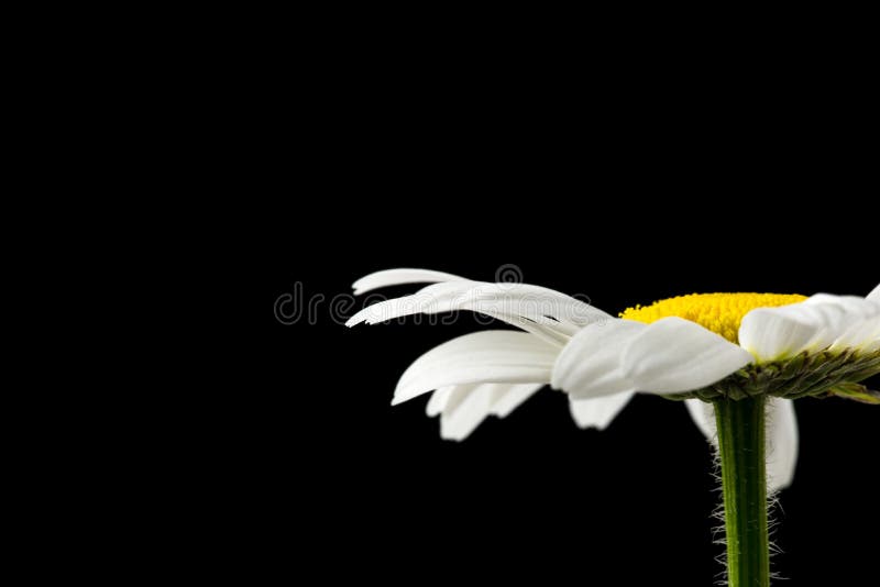 condolenses card