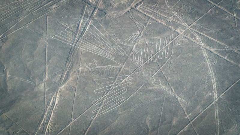 Condor come si vede nelle linee di Nasca, Nazca, Perù