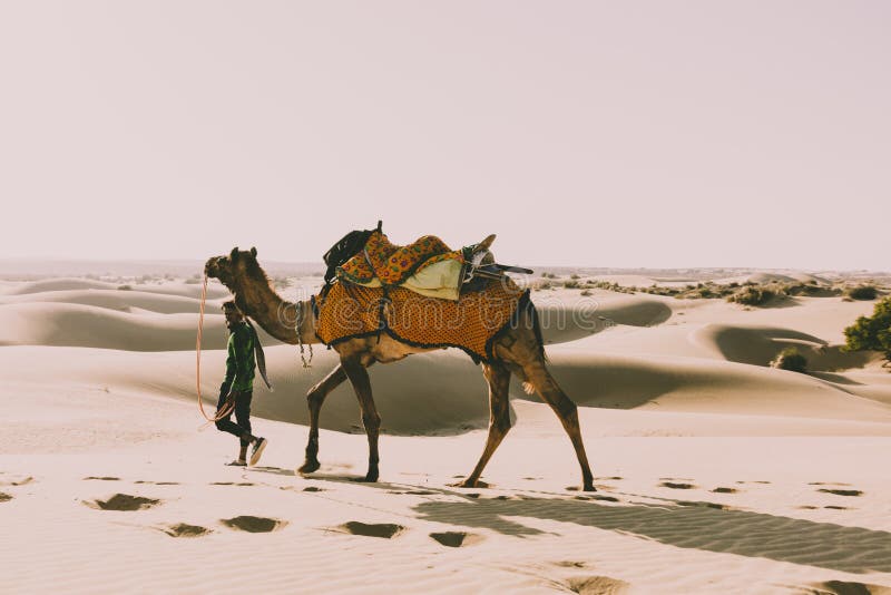 Conducteur de dromadaire dans le désert de thar, Inde, Ràjasthàn photographie stock libre de droits Conducteur de dromadaire dans le désert de thar, Inde, Ràjasthàn photographie stock libre de droits