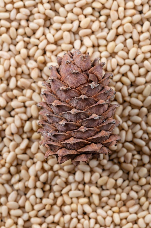 Cone on the background of peeled pine nuts closeup stock photo