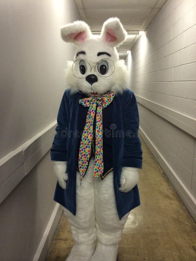 Conejo de Pascua fotografía de archivo