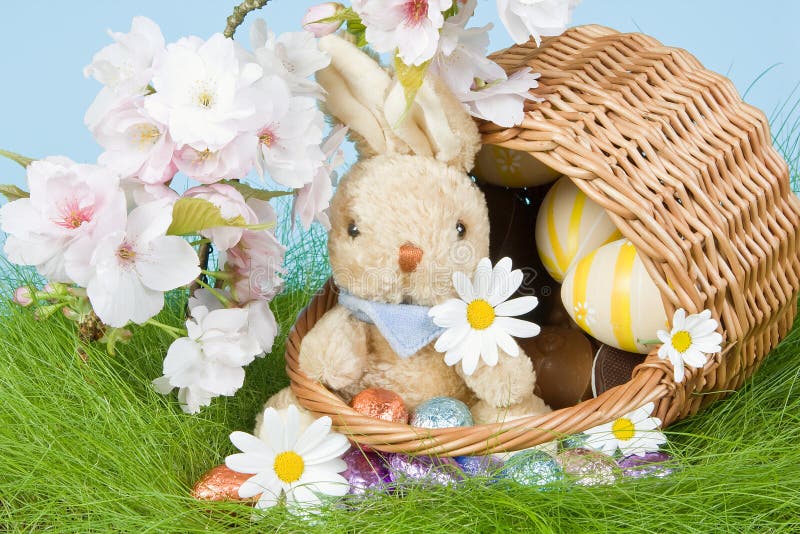 Conejito en la cesta de pascua imágenes de archivo libres de regalías Conejito en la cesta de pascua imágenes de archivo libres de regalías