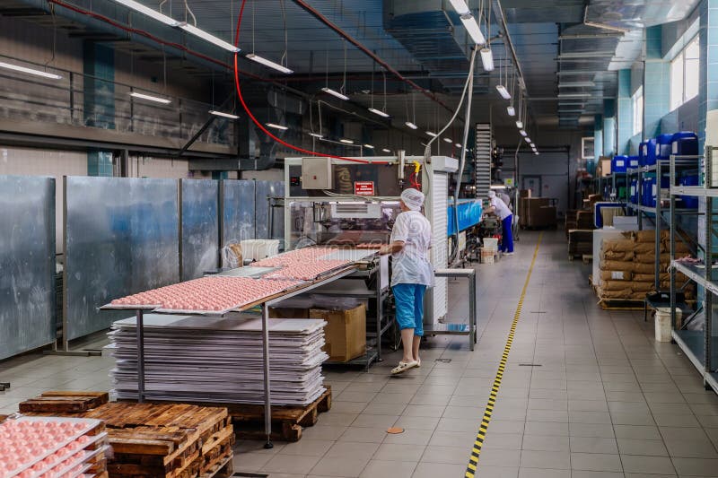 Confectionery Workers Sorting Zephyrs on Conveyor Belt Stock Photo