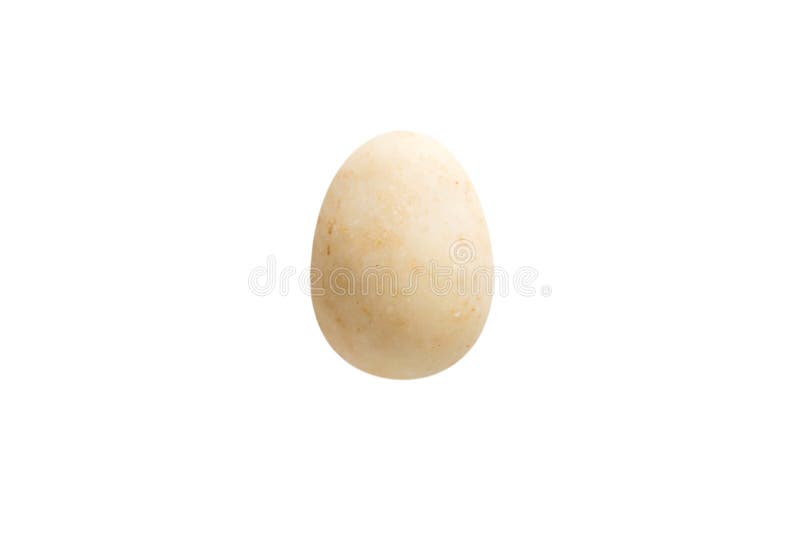 Confetto del confetto in cioccolata bianca isolata su backg bianco fotografia stock Confetto del confetto in cioccolata bianca isolata su backg bianco fotografia stock
