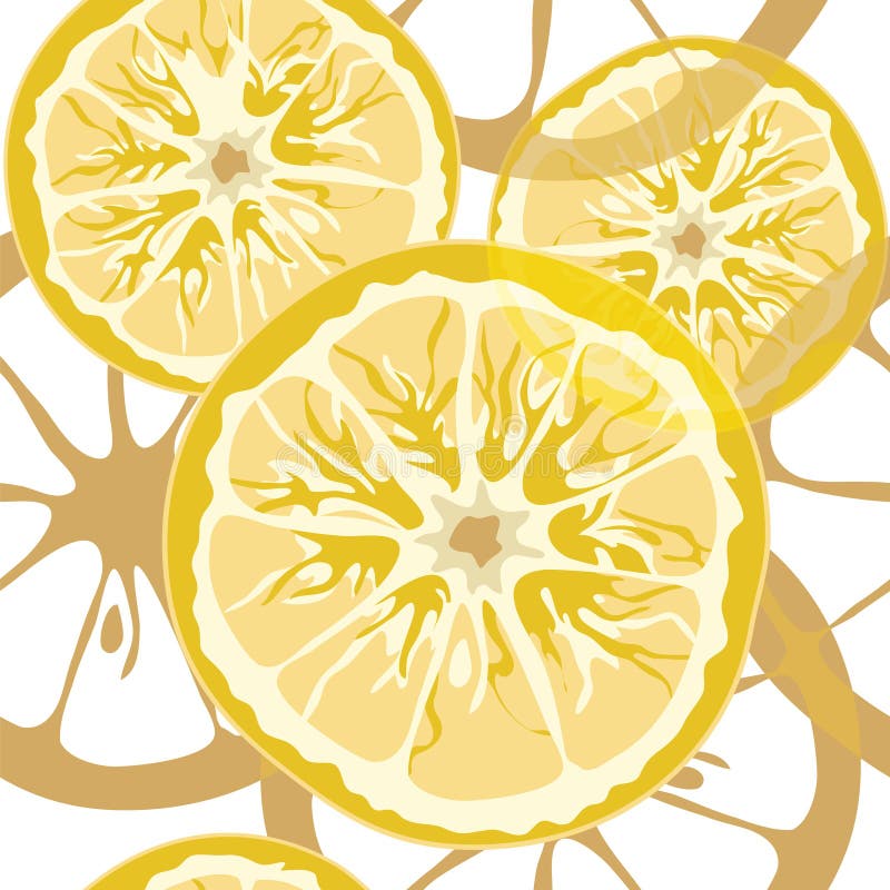Configuration sans joint de citron illustration stock Configuration sans joint de citron illustration stock
