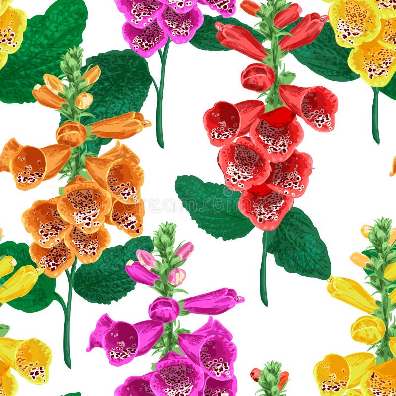 Configuration sans joint de fleurs tropicales Fond floral d'été avec Tiger Lily Flower Conception de floraison d'aquarelle illustration stock Configuration sans joint de fleurs tropicales Fond floral d'été avec Tiger Lily Flower Conception de floraison d'aquarelle illustration stock