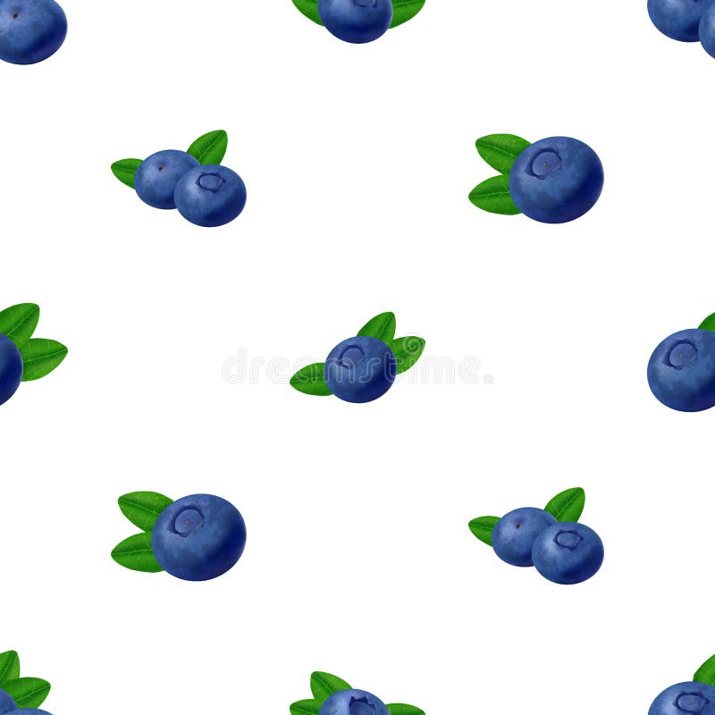 Configuration sans joint de myrtilles baies r?alistes du vecteur 3d illustration de vecteur Configuration sans joint de myrtilles baies r?alistes du vecteur 3d illustration de vecteur