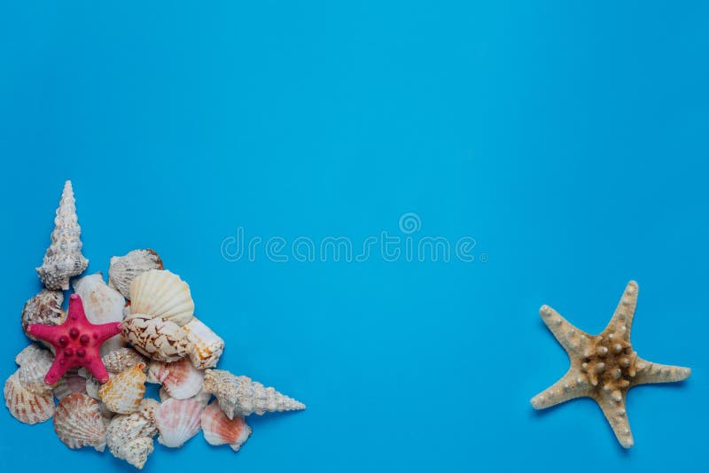Configuração lisa da composição tropical exótica da pilha da concha do mar fotos de stock Configuração lisa da composição tropical exótica da pilha da concha do mar fotos de stock