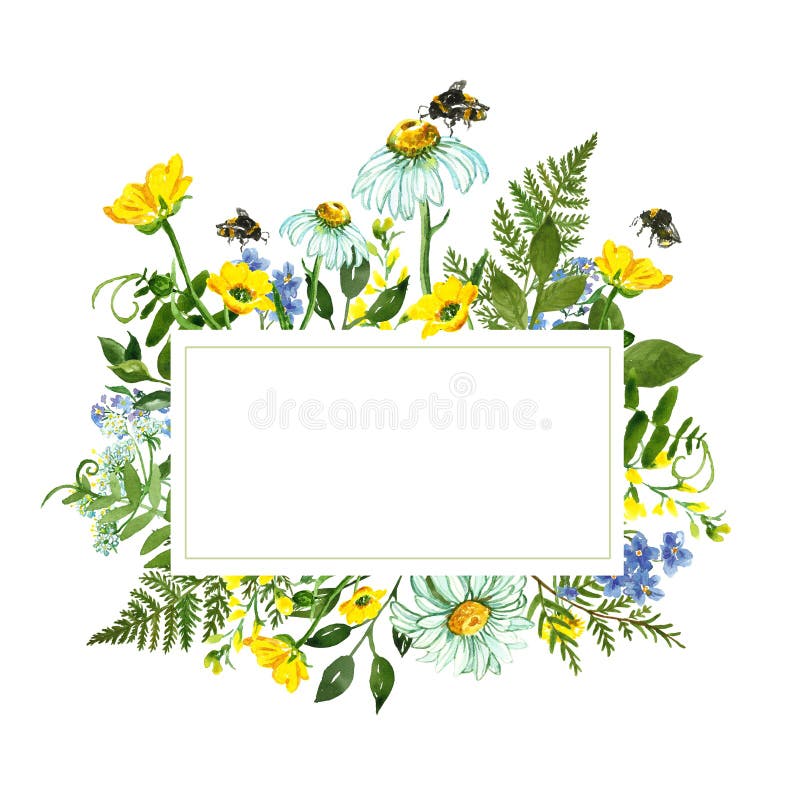 Confine botanico dell'acquerello con i fiori selvaggi variopinti, le foglie verdi, le erbe e l'ape gialli e blu del miele Carta d illustrazione vettoriale