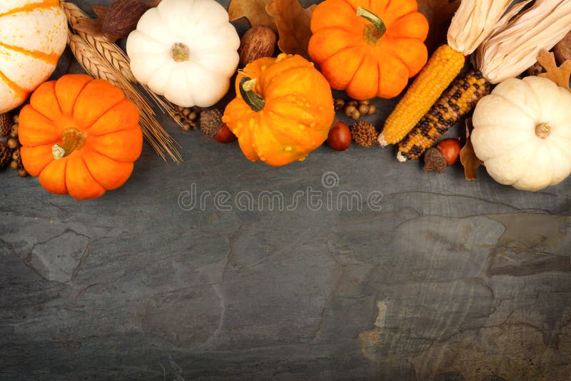 Autumn harvest top border with pumpkins, leaves and nuts over a slate stone background. Autumn harvest top border with pumpkins, leaves and nuts over a slate stone background