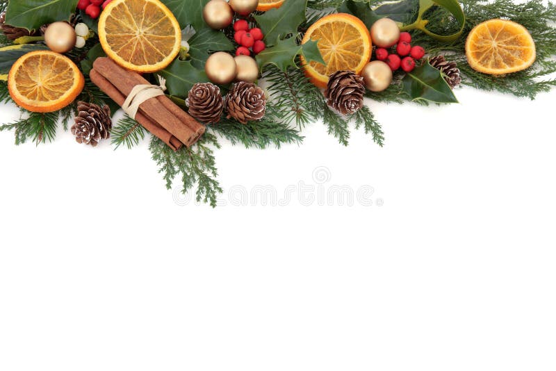 Confine della frutta di Natale immagine stock