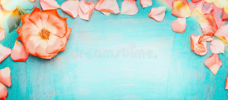Confine pallido rosa dei petali rosa con bokeh sul fondo blu del turchese, vista superiore Giorno romantico e di biglietti di S. immagine stock libera da diritti Confine pallido rosa dei petali rosa con bokeh sul fondo blu del turchese, vista superiore Giorno romantico e di biglietti di S. immagine stock libera da diritti