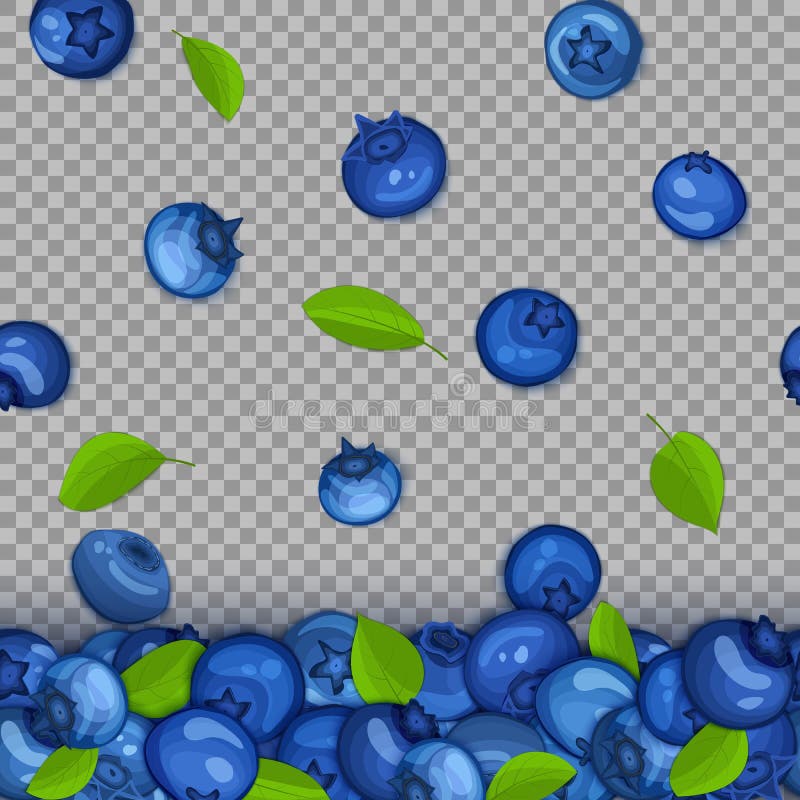 Confini senza cuciture orizzontali di caduta della frutta del mirtillo maturo Bacca blu della mosca della carta dell'illustrazion illustrazione vettoriale Confini senza cuciture orizzontali di caduta della frutta del mirtillo maturo Bacca blu della mosca della carta dell'illustrazion illustrazione vettoriale