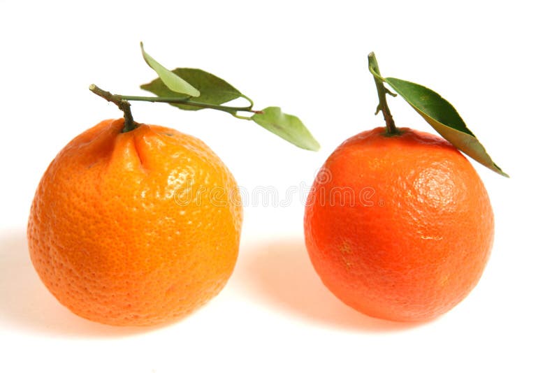 Confronto del mandarino