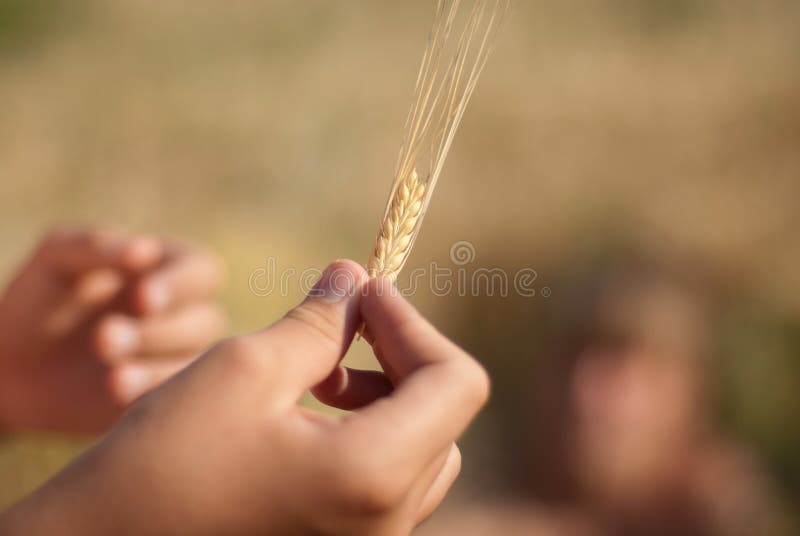 Coni nella mano fotografie stock libere da diritti Coni nella mano fotografie stock libere da diritti
