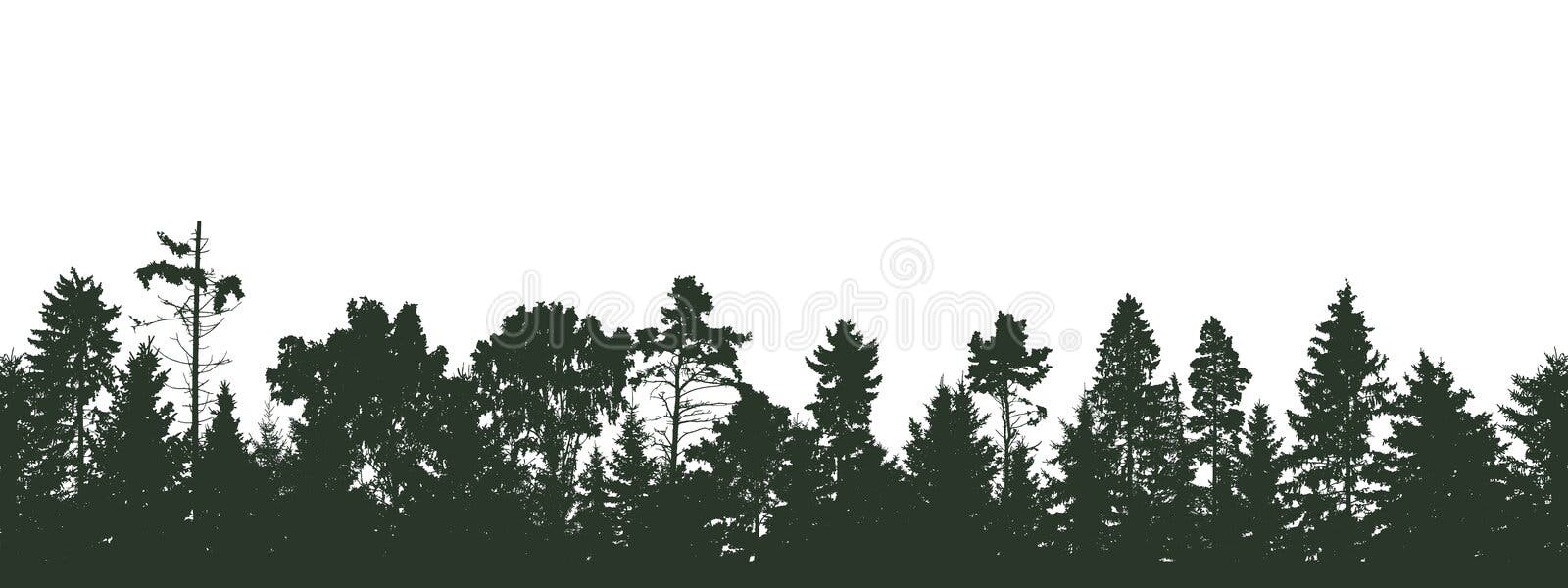 Coniferous and deciduous beautiful forest, silhouette of firs, pines and different deciduous trees. Vector illustration vector illustration Coniferous and deciduous beautiful forest, silhouette of firs, pines and different deciduous trees. Vector illustration vector illustration
