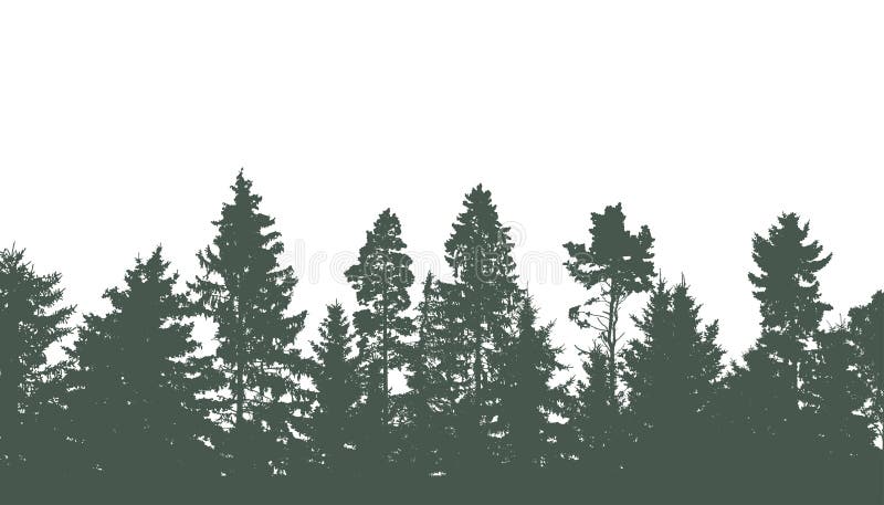 Coniferous and deciduous beautiful forest, silhouette of firs, pines and different deciduous trees. Vector illustration vector illustration Coniferous and deciduous beautiful forest, silhouette of firs, pines and different deciduous trees. Vector illustration vector illustration