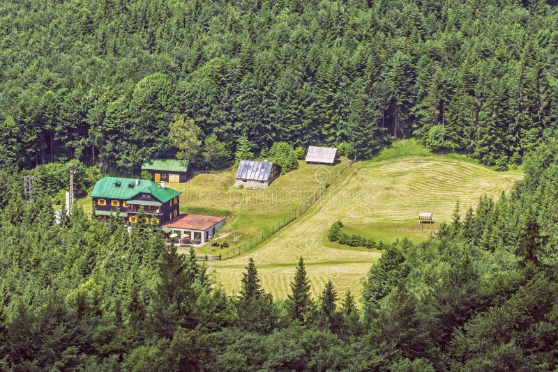 Coniferous forest and cottage from Hrb hill, Vepor, Slovakia