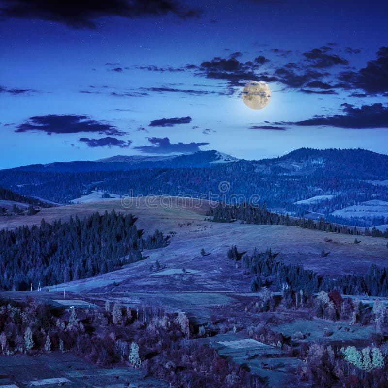 Coniferous forest on a steep mountain slope at nidght