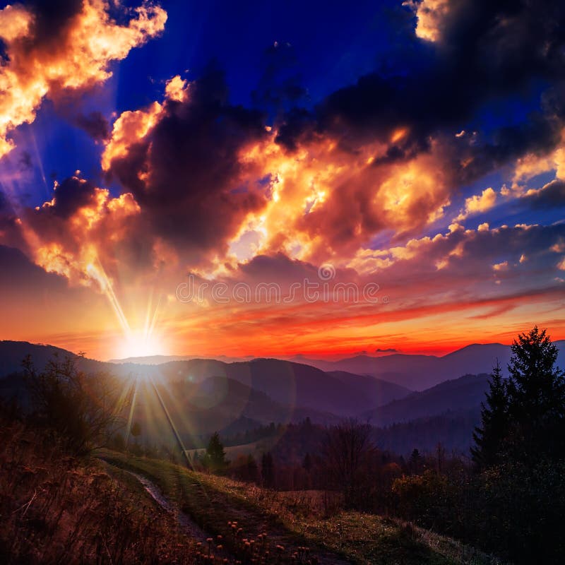 Coniferous forest on a steep mountain slope at sunset