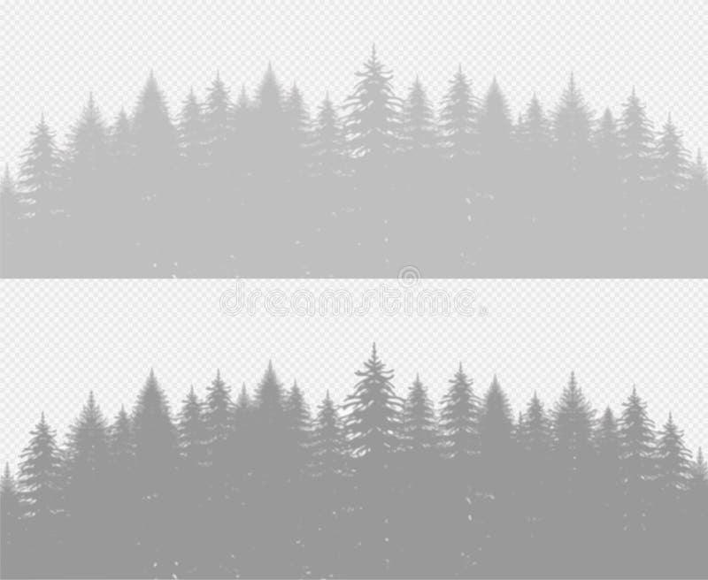 Coniferous pine forest with fir trees. Transparent plant shadow effect