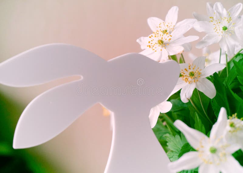Coniglietto di pasqua con i fiori della sorgente fotografia stock libera da diritti Coniglietto di pasqua con i fiori della sorgente fotografia stock libera da diritti