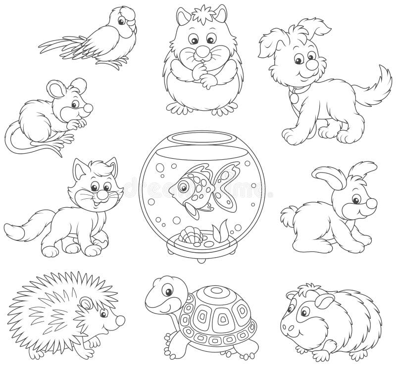 Imagenes De Animales Domésticos Para Dibujar Faciles - 37 Dibujos De