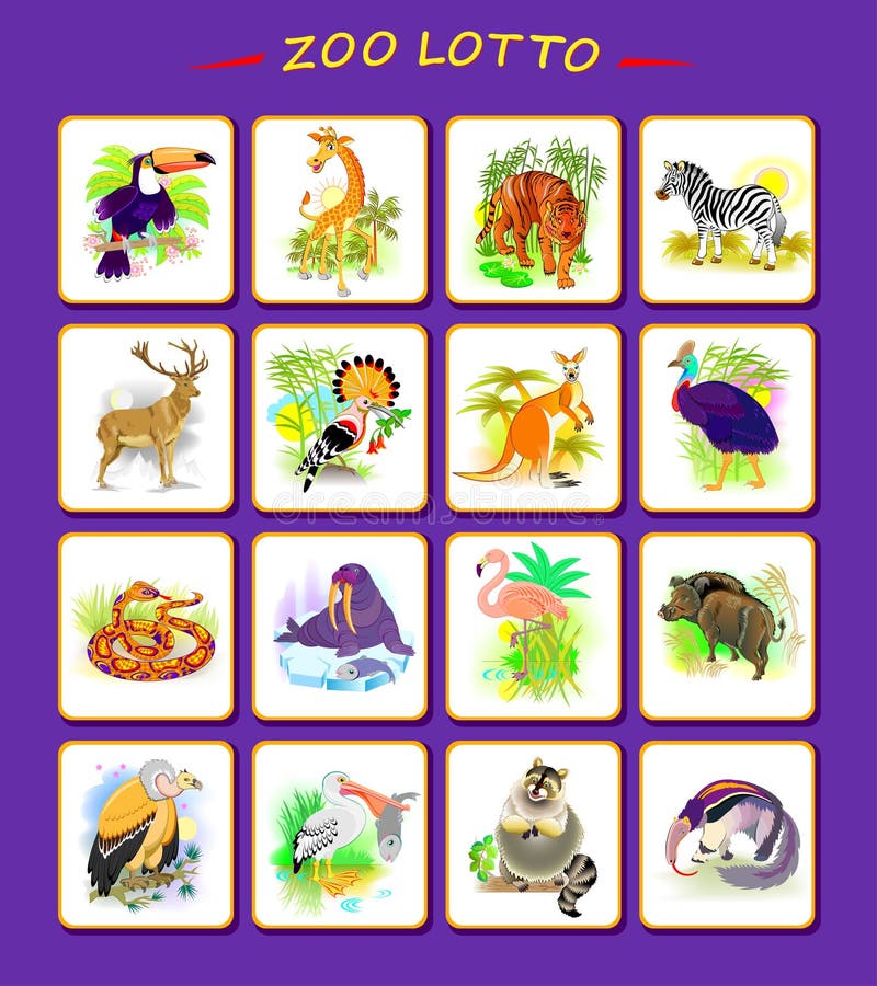 My Image 11