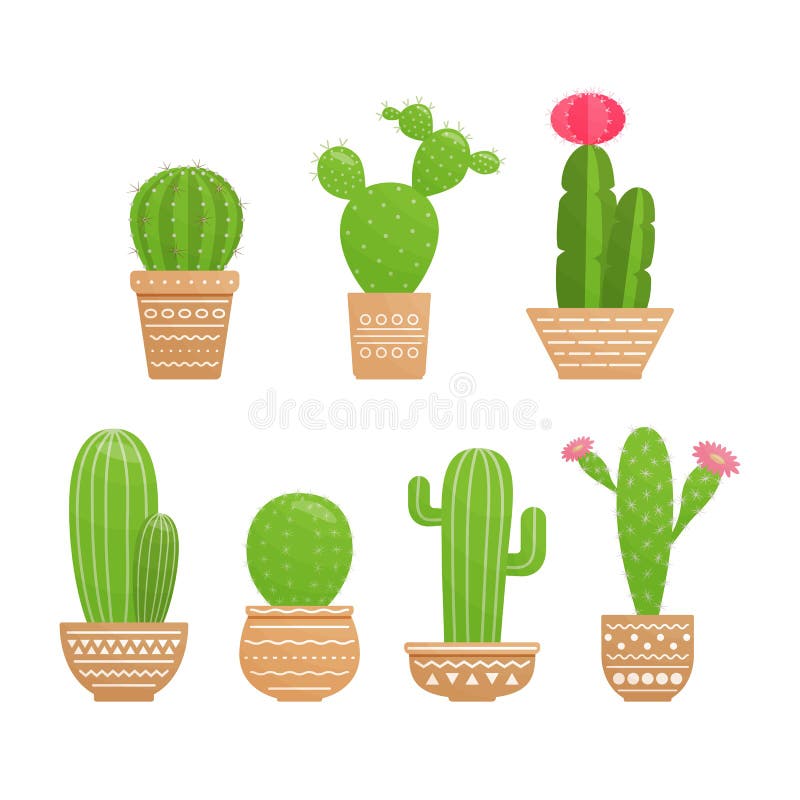 Conjunto de várias plantas espinhosas do deserto ou cactos com espinhos  isolados no fundo branco ilustração de desenho vetorial