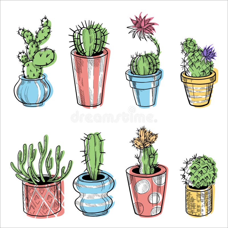 Conjunto De Plantas De Cactos Desenhadas À Mão Em Um Estilo De