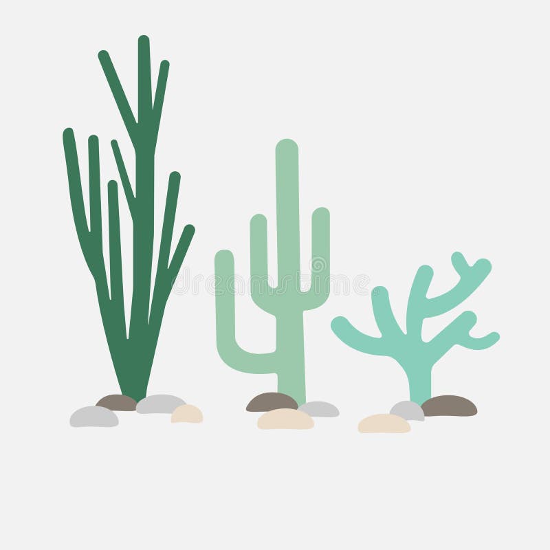 Conjunto de cactos com espinhos e flores cacto de planta verde mexicana com  espinhos elemento do deserto e paisagem do sul ilustração em vetor plana  dos desenhos animados isolado no fundo branco