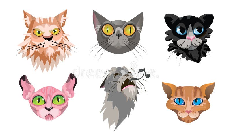 coleção colorida de vetores de coisas de gato. conjunto de ícones de  produtos para animais de