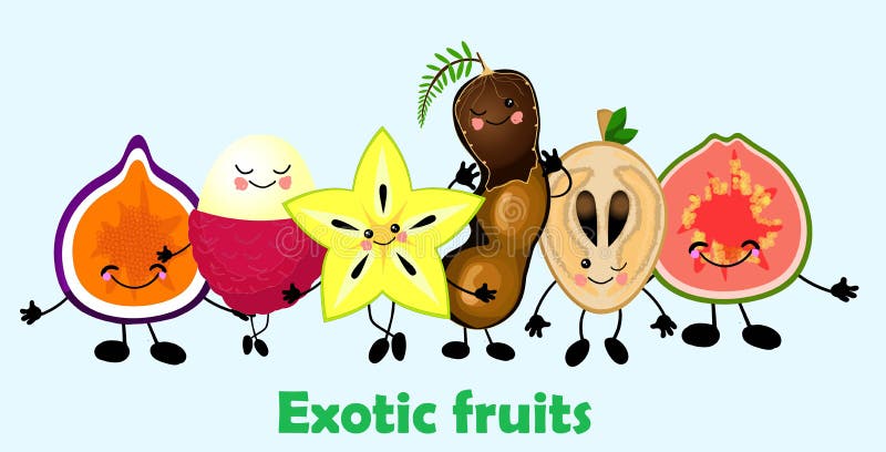 Conjunto de frutas exóticas tropicais Figos, goiaba, liceus, tamarind, carambola e sapodilla Frutos engraçados ilustração do vetor Conjunto de frutas exóticas tropicais Figos, goiaba, liceus, tamarind, carambola e sapodilla Frutos engraçados ilustração do vetor