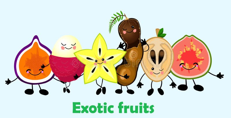 Set of tropical exotic fruits. Figs, guava, lychees, tamarind, carambola and sapodilla. Funny cute fruits. Set of tropical exotic fruits. Figs, guava, lychees, tamarind, carambola and sapodilla. Funny cute fruits.