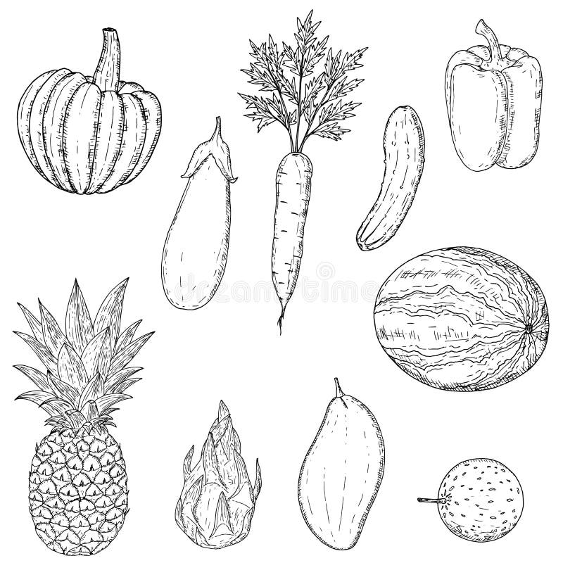  Conjunto De Frutas Y Hortalizas. Ilustración De Dibujos Animados Vectoriales. Aislado Ilustración del Vector