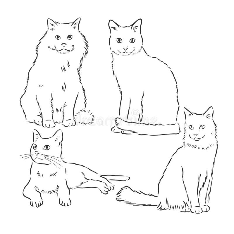 Conjunto De Gatos. Animais Bonitos, Desenhos À Mão. Elementos