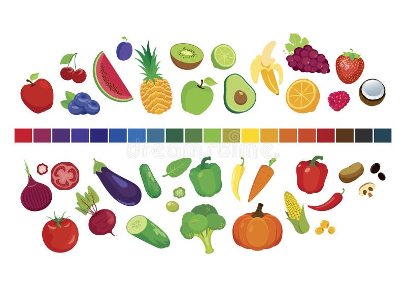 Correspondencia Adepto Largo Frutas Y Verduras En El Espectro De Color Ilustración del Vector -  Ilustración de azul, kiwi: 64357409